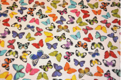 Hvid bluse med sommerfugle